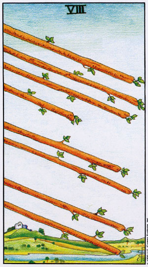 78張塔羅牌圖片解釋大全之權杖八