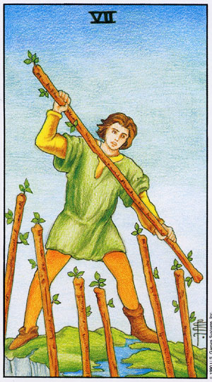 78張塔羅牌圖片解釋大全之權杖七