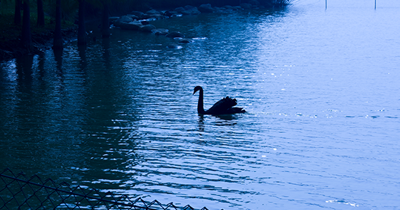 塔羅牌復合測試小程序